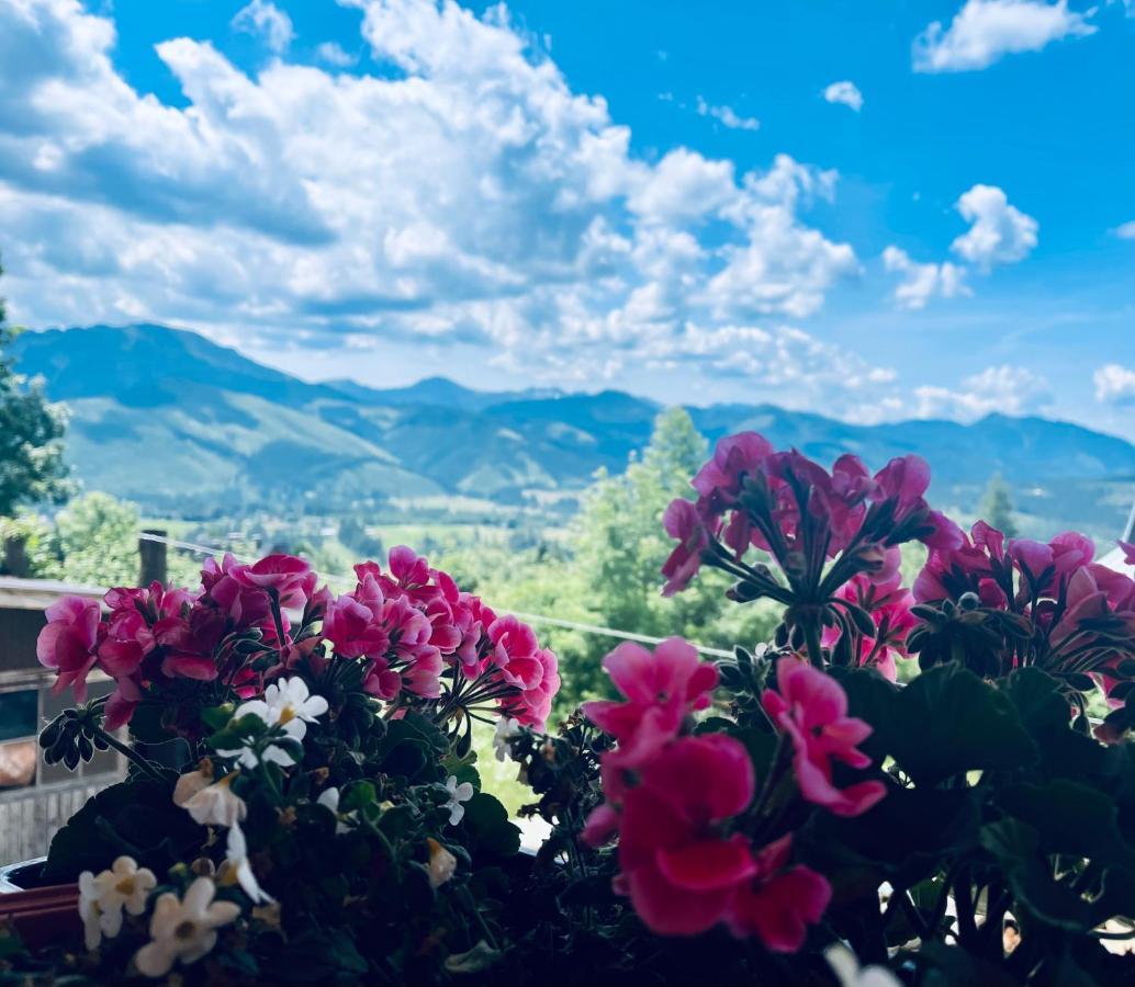 Goralska Chatka Kościelisko Εξωτερικό φωτογραφία