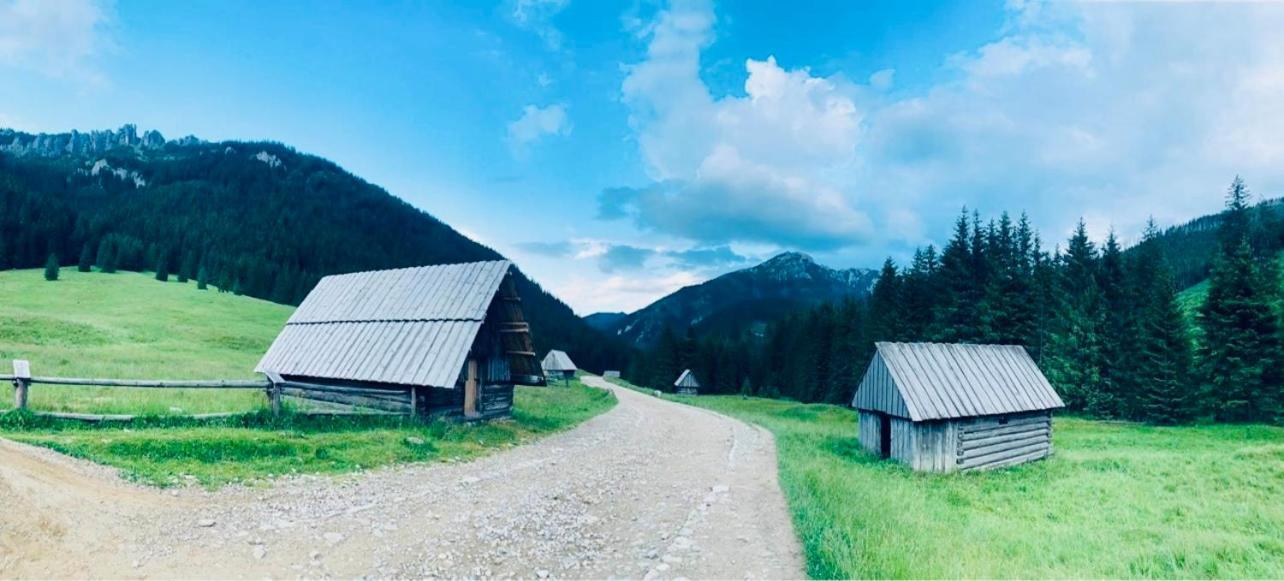 Goralska Chatka Kościelisko Εξωτερικό φωτογραφία
