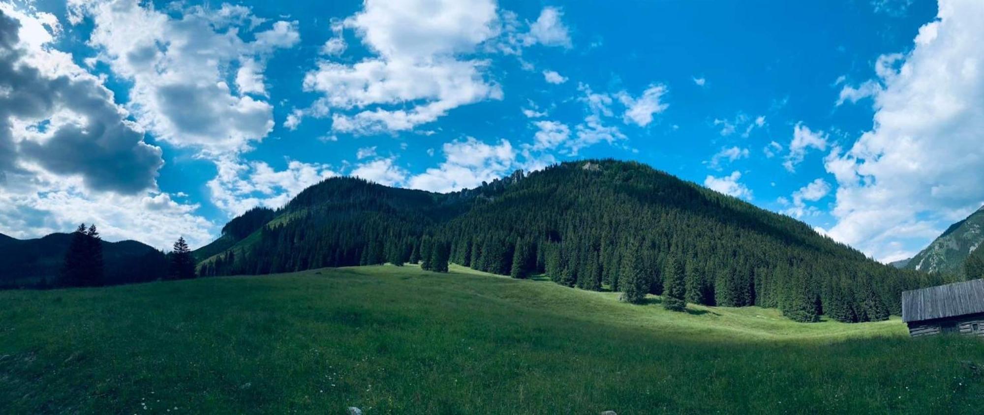 Goralska Chatka Kościelisko Εξωτερικό φωτογραφία